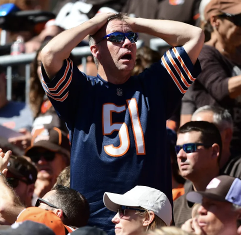 Angry Bears Fan